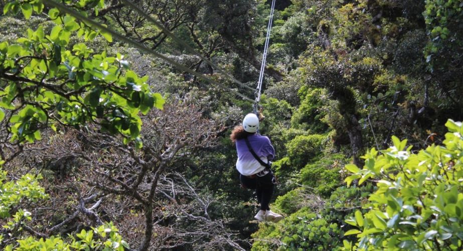 Canopy Costa Rica